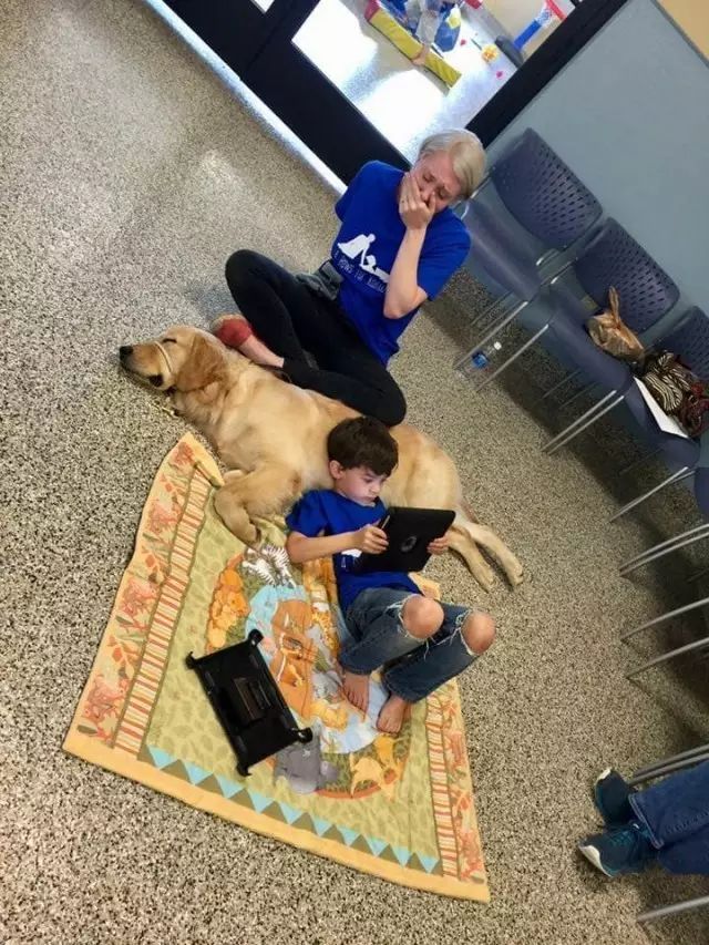 来自狗狗的邀请函：我想和你做朋友可以吗