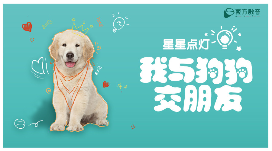 来自狗狗的邀请函：我想和你做朋友可以吗